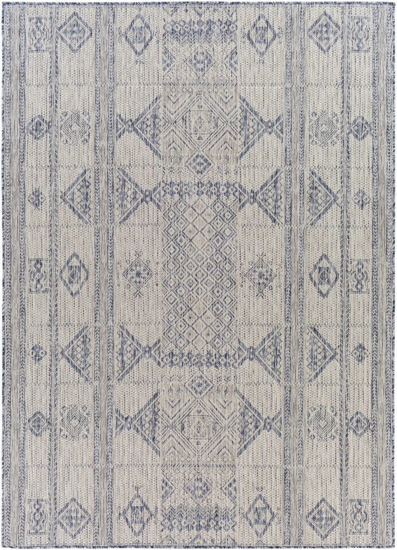 Malamig Gray & Blue Outdoor Area Rug - Clearance by Boutique Rugs