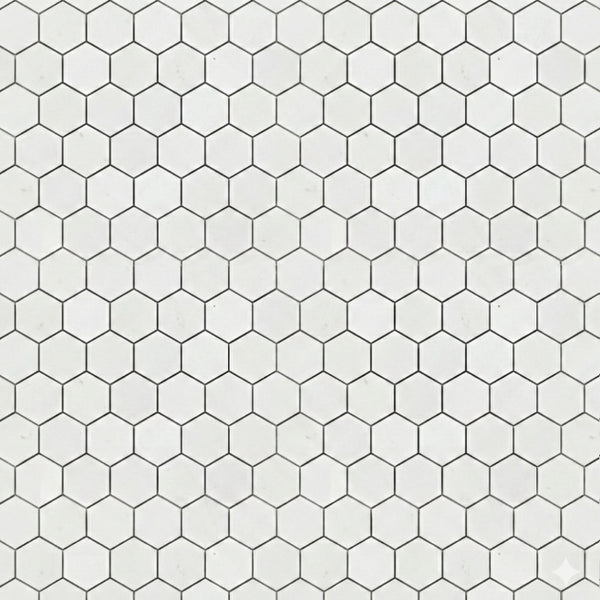 Alpina White Polished Hexagon Marble Mosaics 10 3/8x12