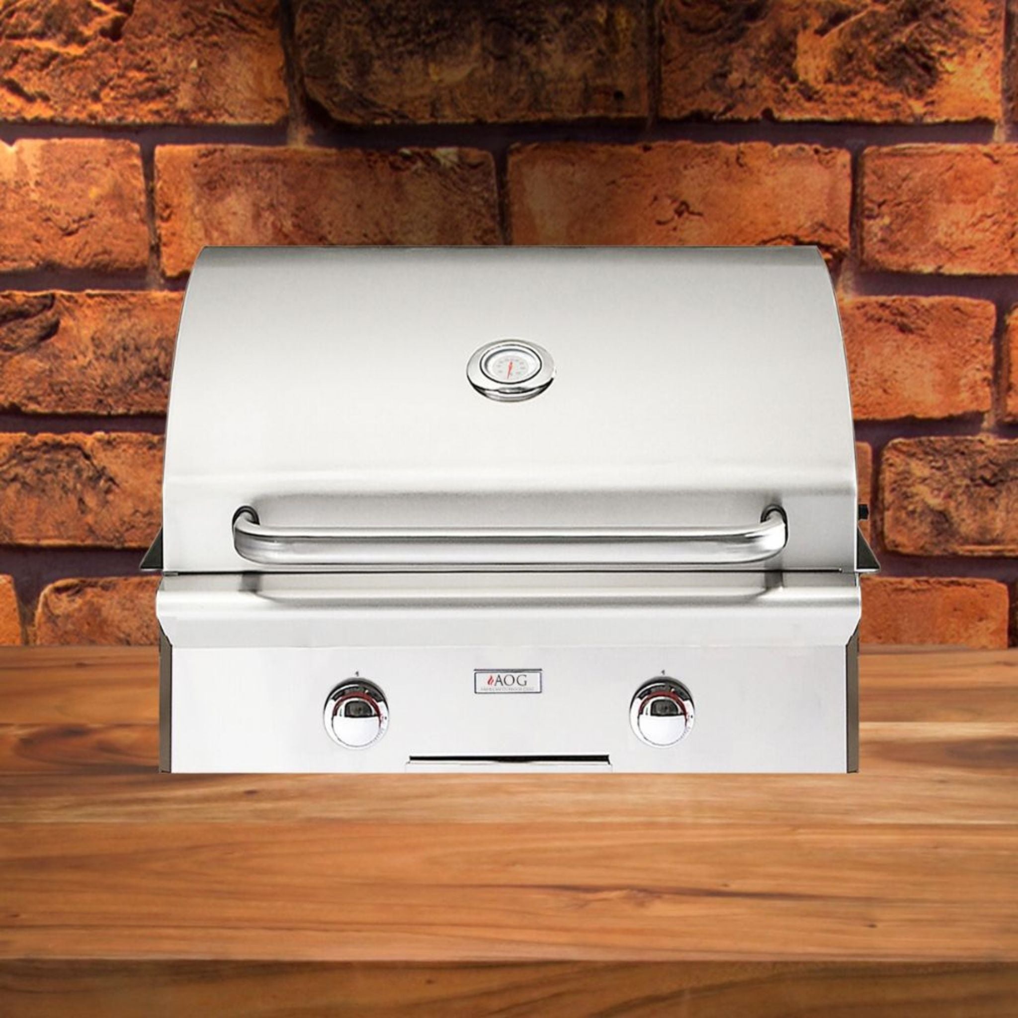 American Outdoor Grill L-Series 24-Inch 2-Burner Built-In Natural Gas Grill [24NBL-00SP] (SAK10834) by SAKSBY WHOLESALE