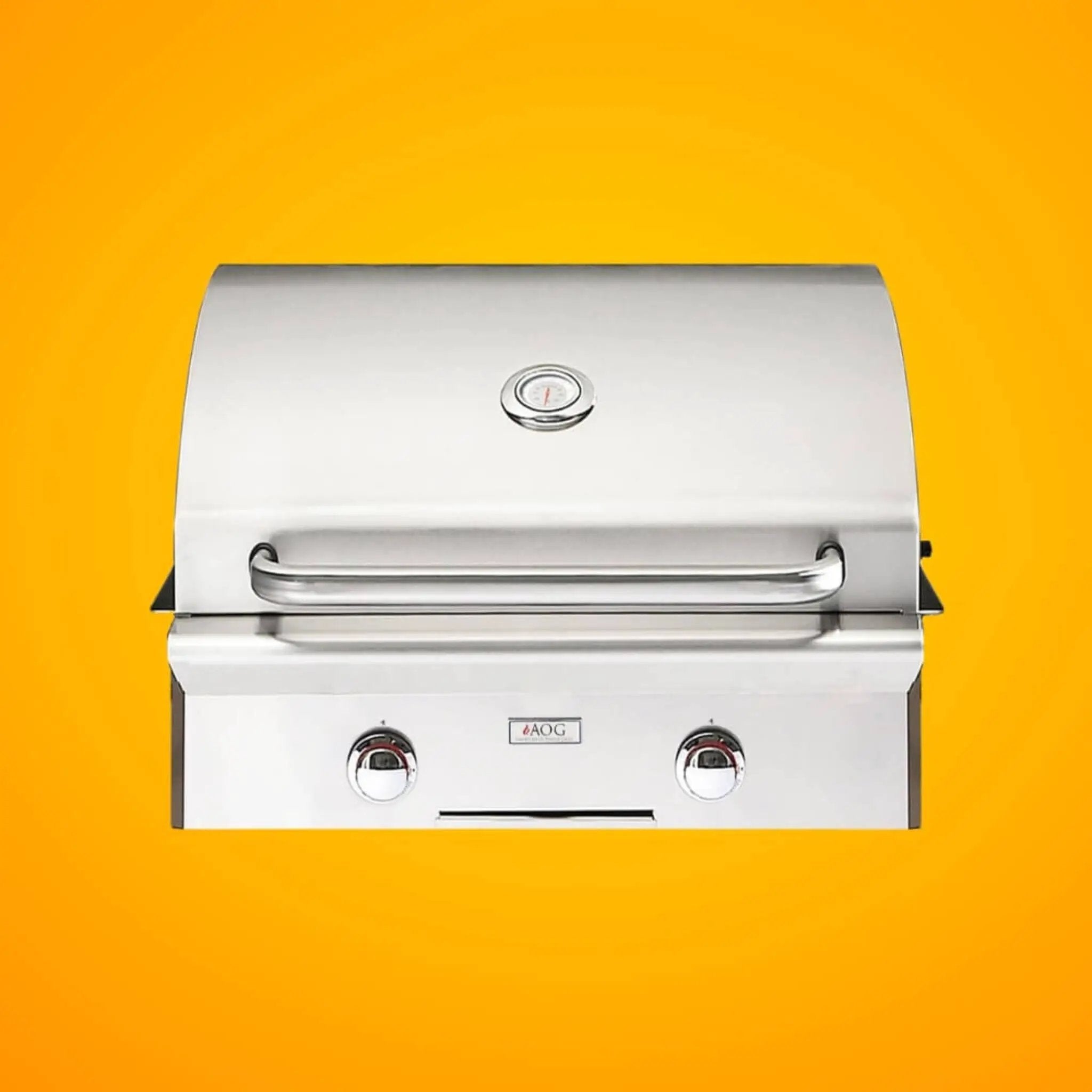 American Outdoor Grill T-Series 24-Inch 2-Burner Built-In Natural Gas Grill [24NBT-00SP] (SAK58391) by SAKSBY WHOLESALE
