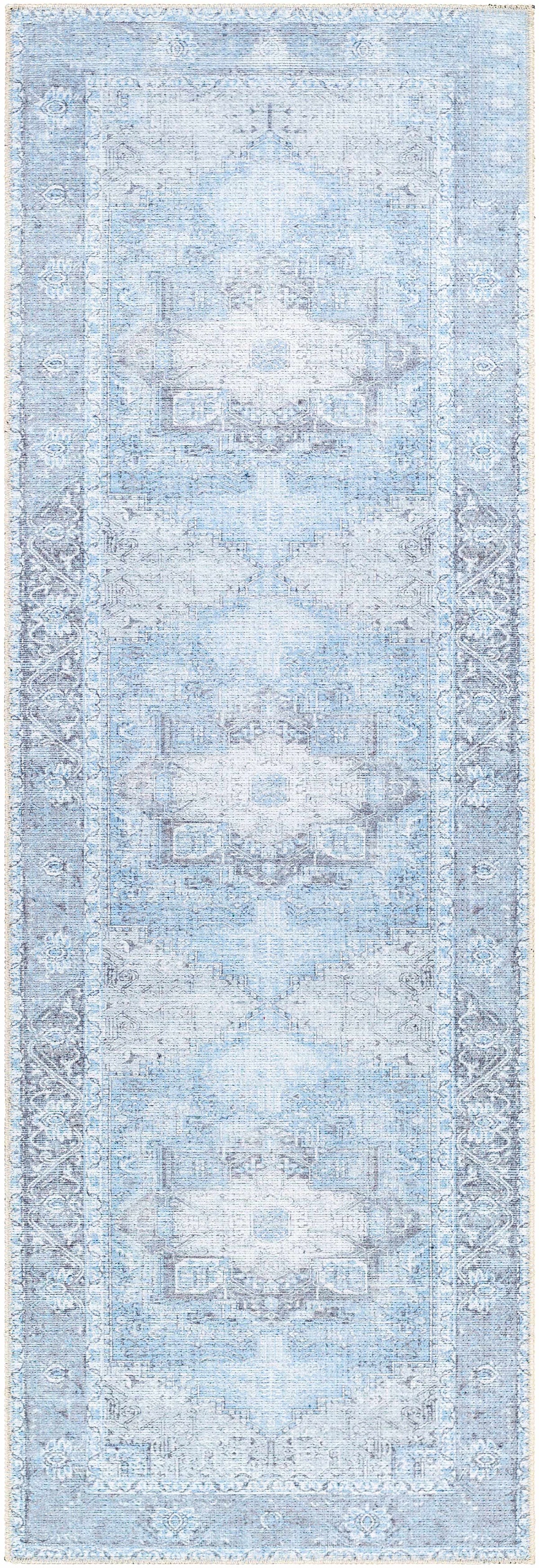 Aqua Rosman Washable Area Rug, photo 10 of 16