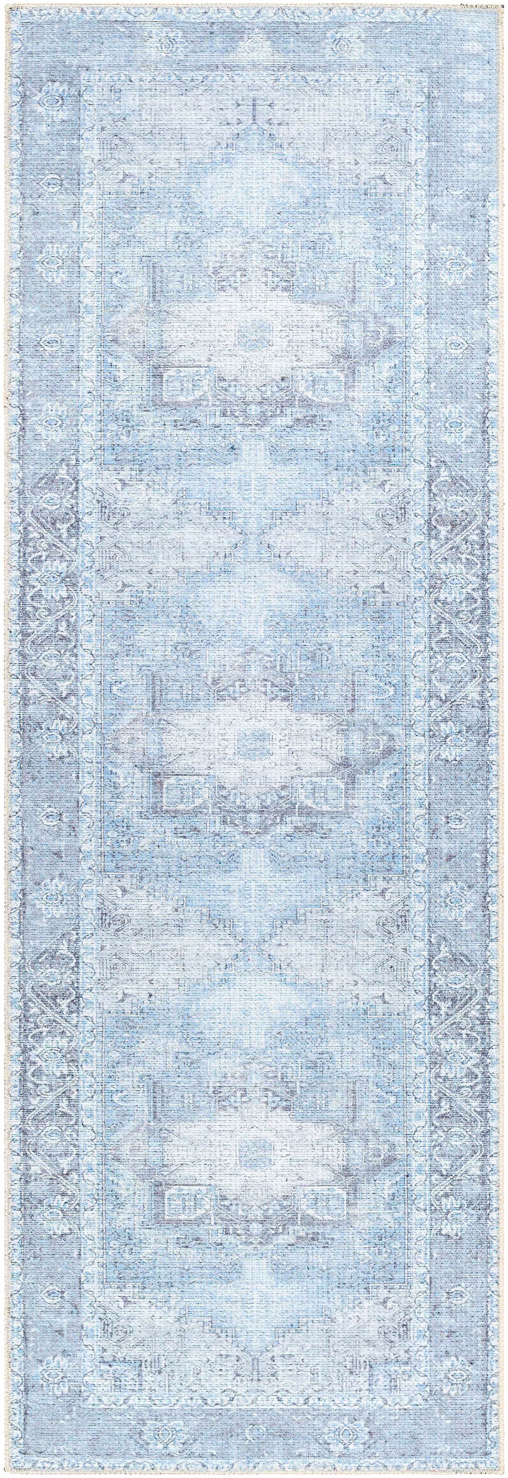 Aqua Rosman Washable Area Rug by Hauteloom