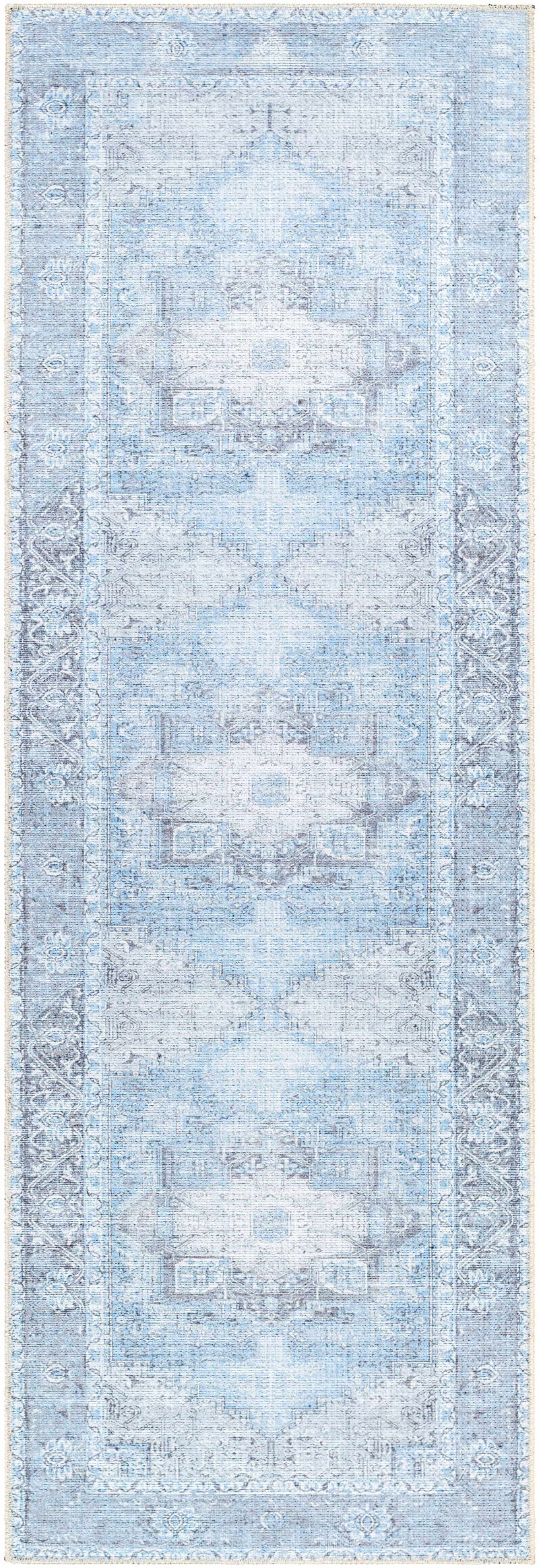 Aqua Rosman Washable Area Rug by Hauteloom