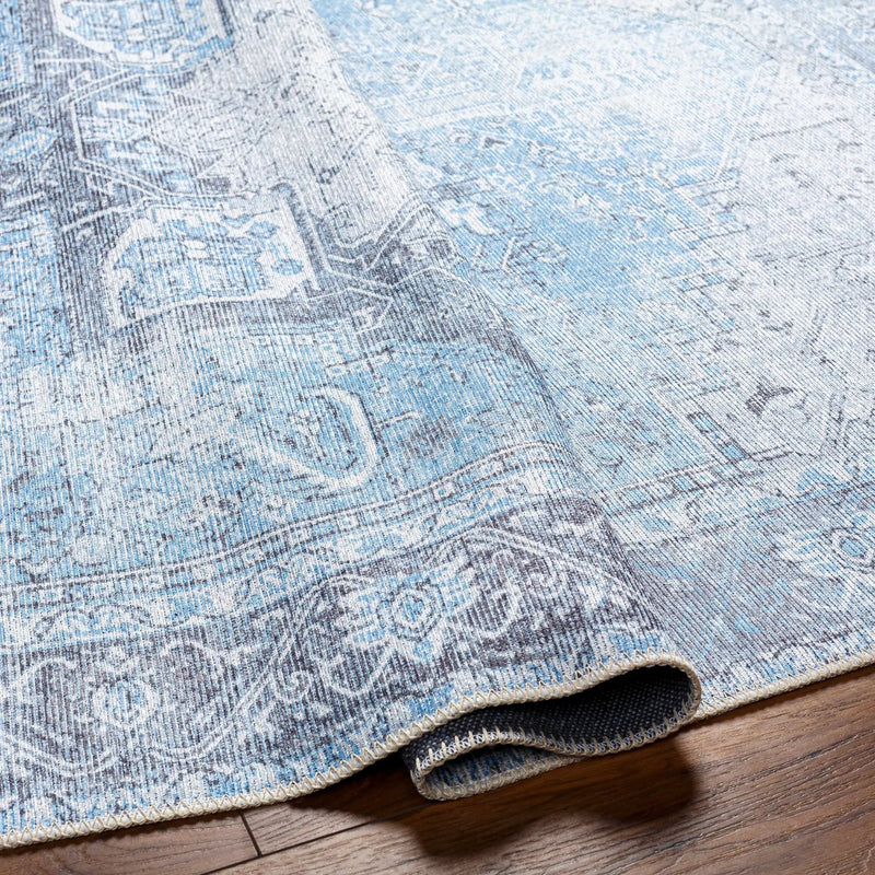 Aqua Rosman Washable Area Rug by Hauteloom