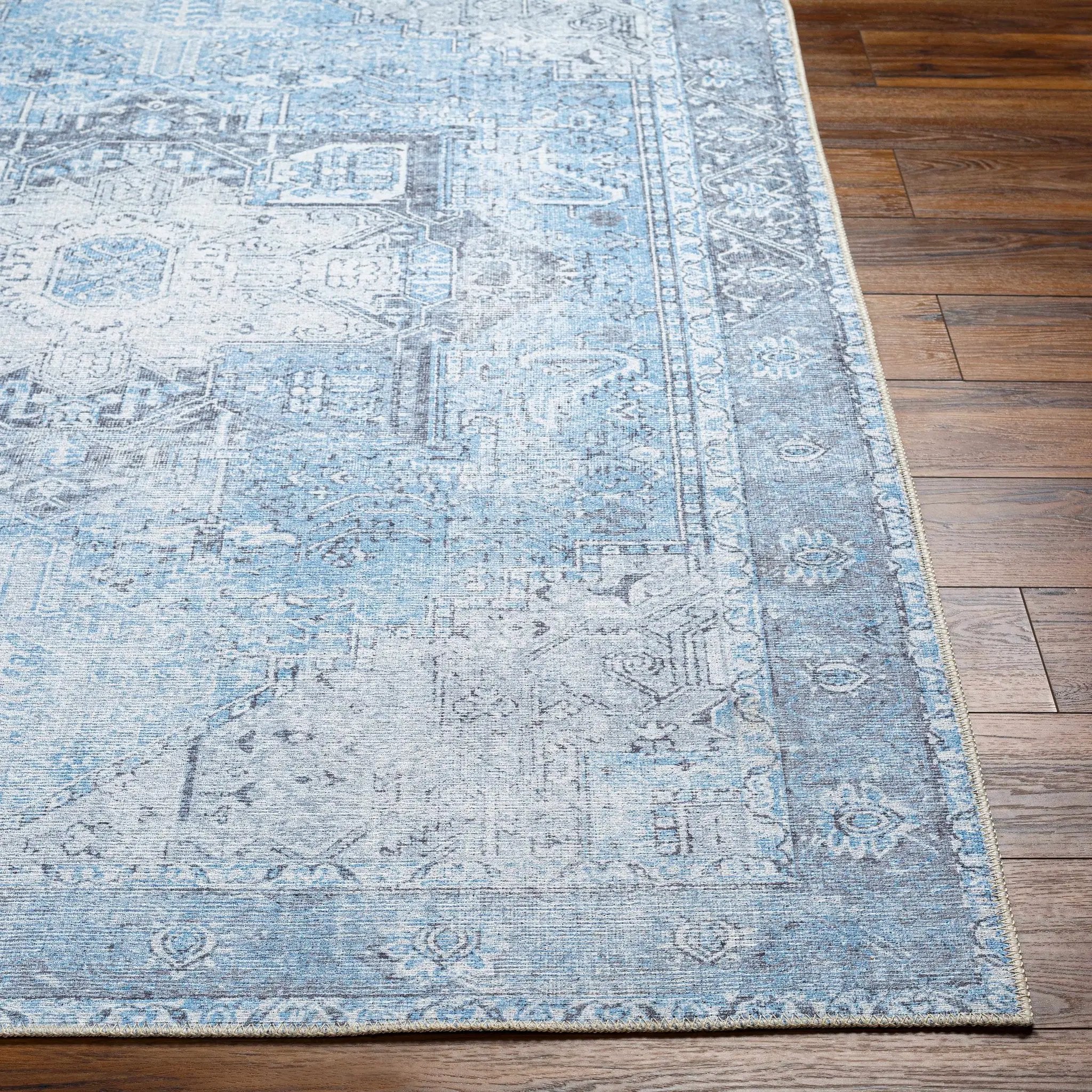 Aqua Rosman Washable Area Rug by Hauteloom