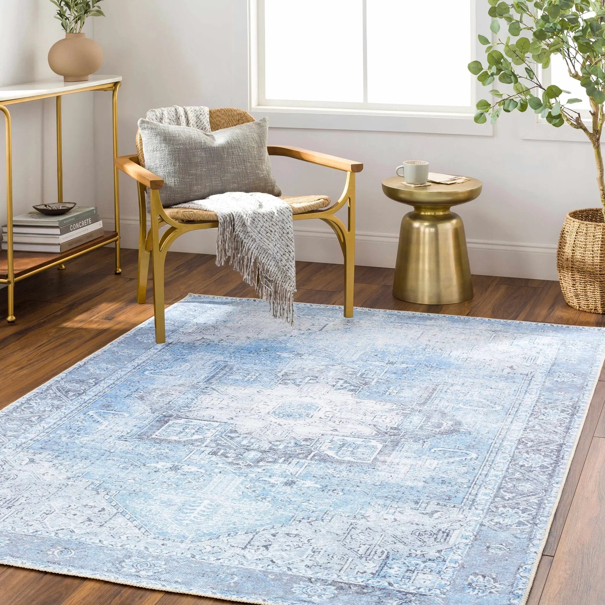 Aqua Rosman Washable Area Rug by Hauteloom