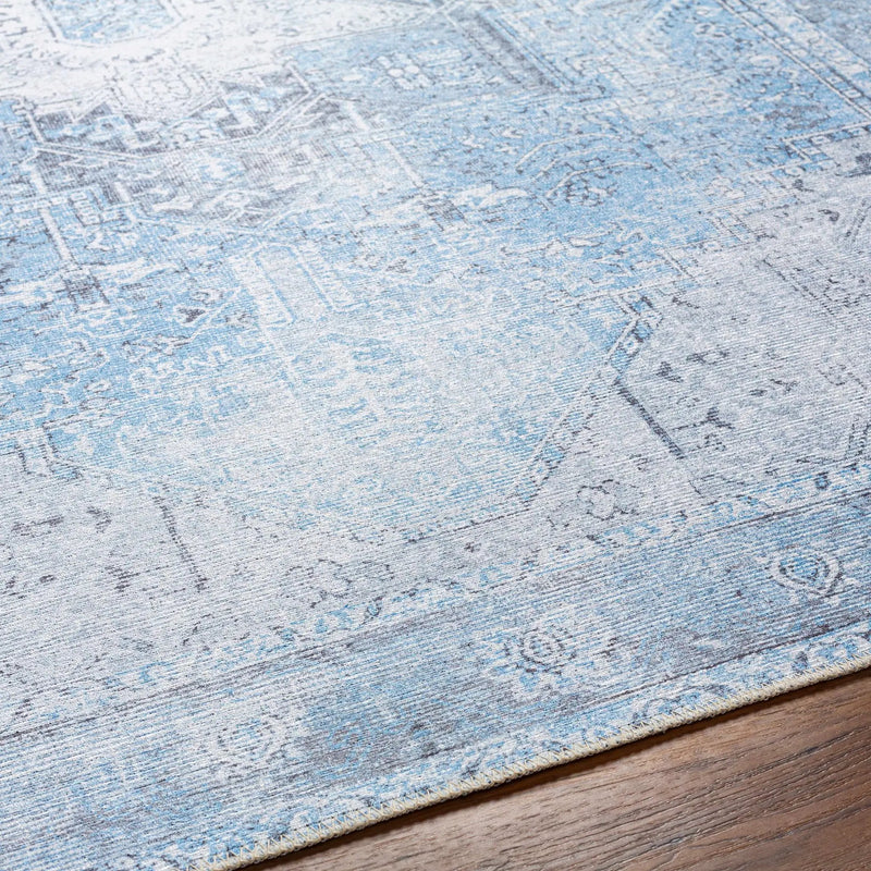 Aqua Rosman Washable Area Rug by Hauteloom