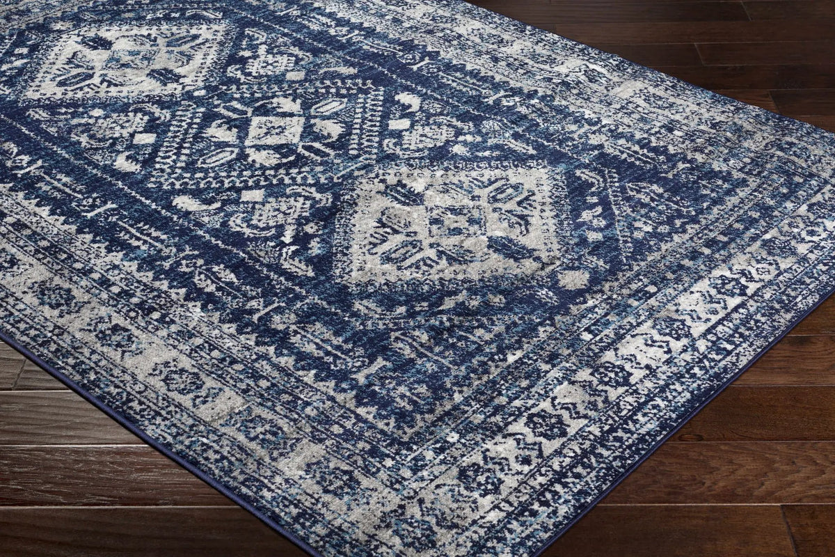 Andes Blue Area Rug, photo 17 of 22