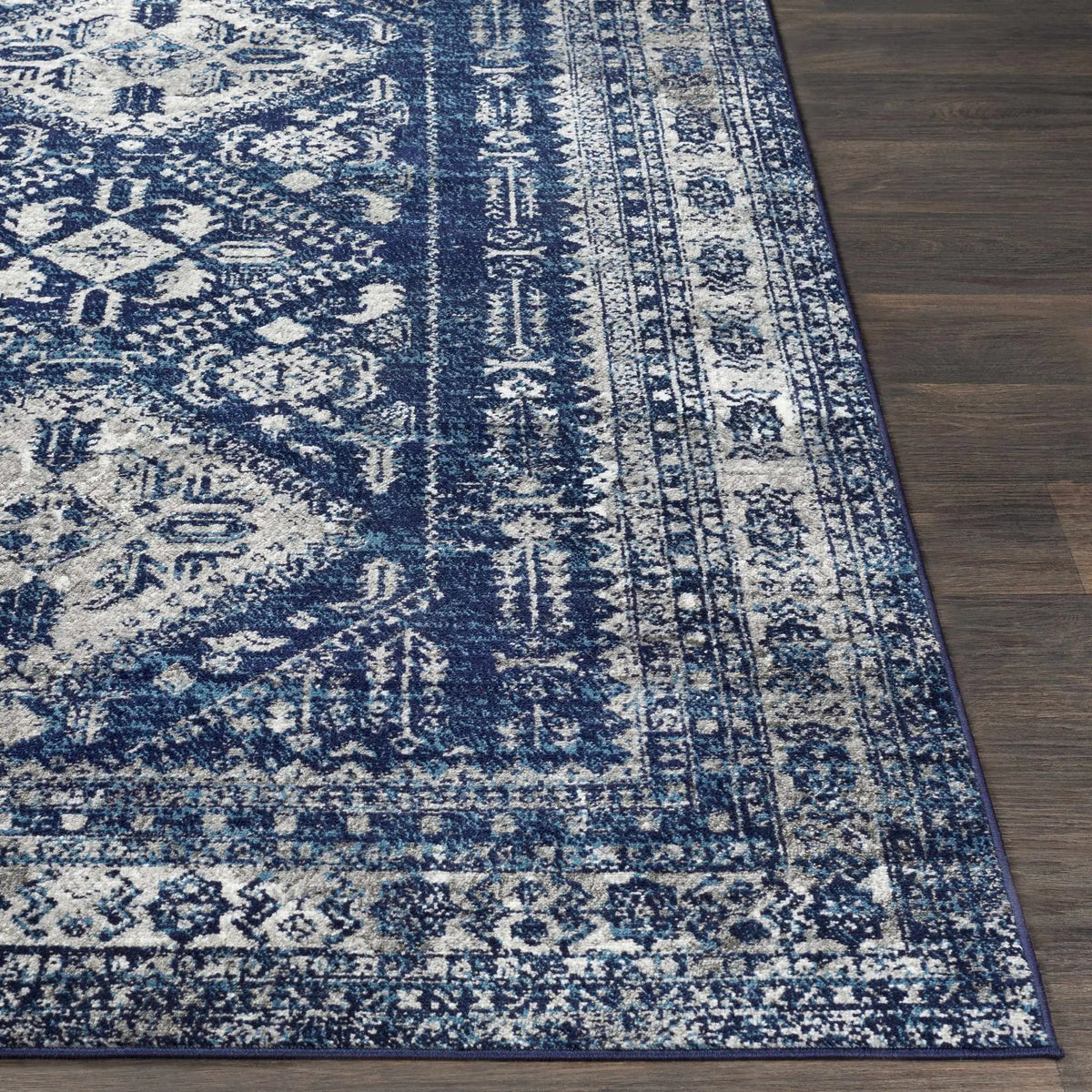 Andes Blue Area Rug, photo 16 of 22