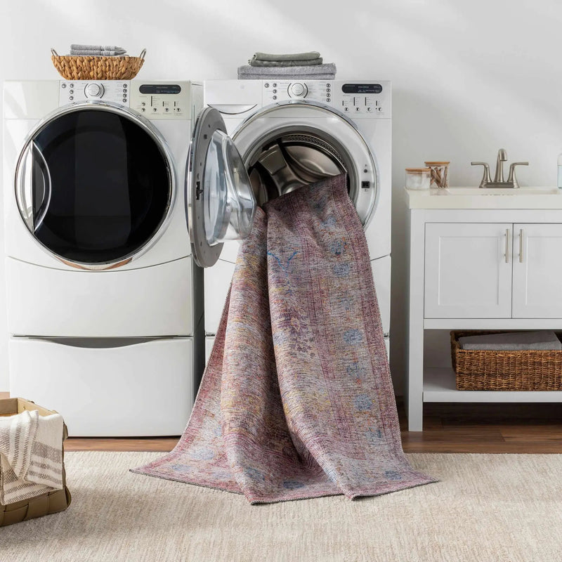 Alcoy Washable Area Rug - Clearance by Boutique Rugs