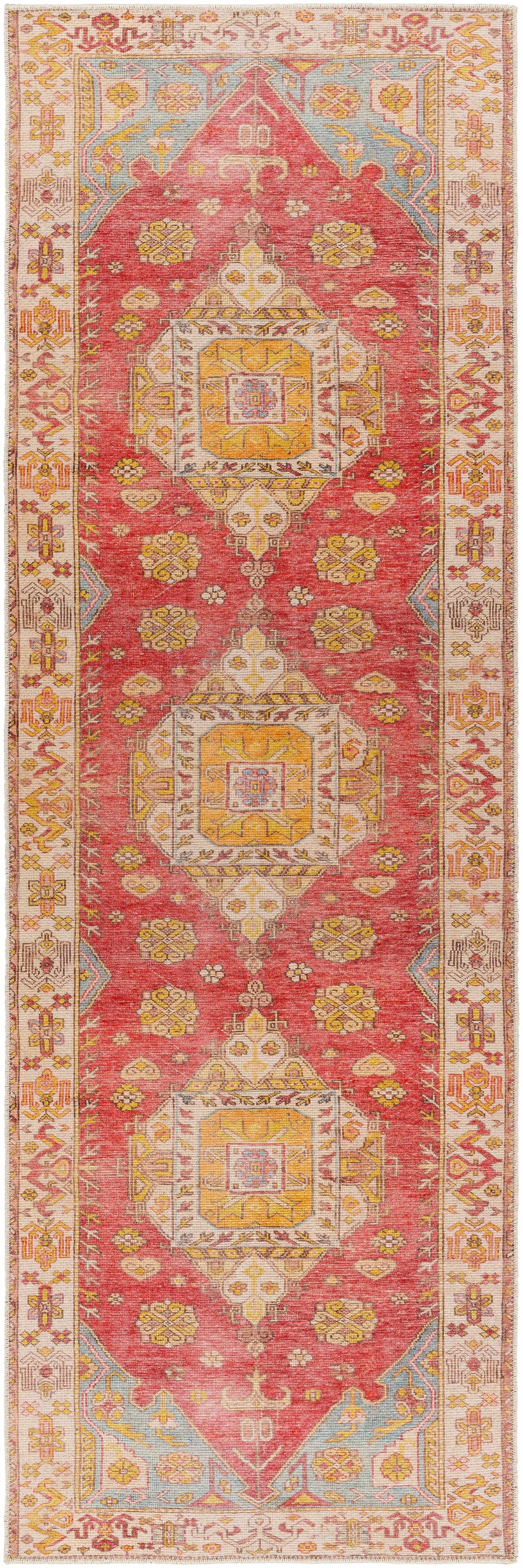 Anopog Washable Area Rug - Clearance by Boutique Rugs