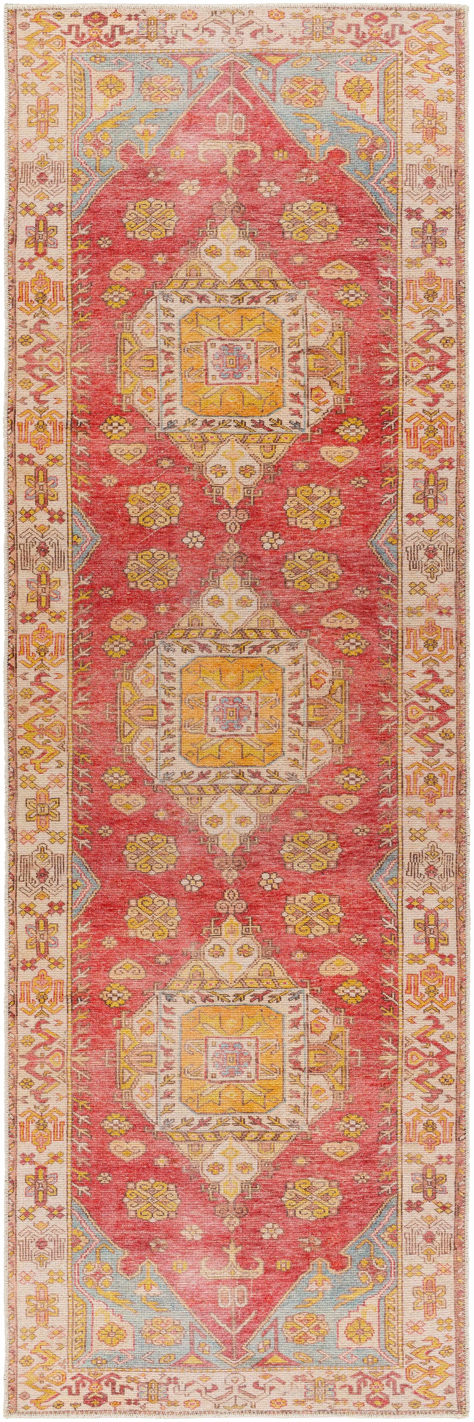 Anopog Washable Area Rug - Clearance by Boutique Rugs