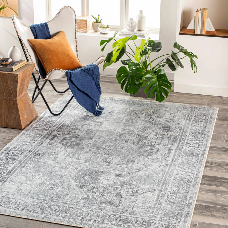 Aquino Washable Area Rug - Clearance by Boutique Rugs