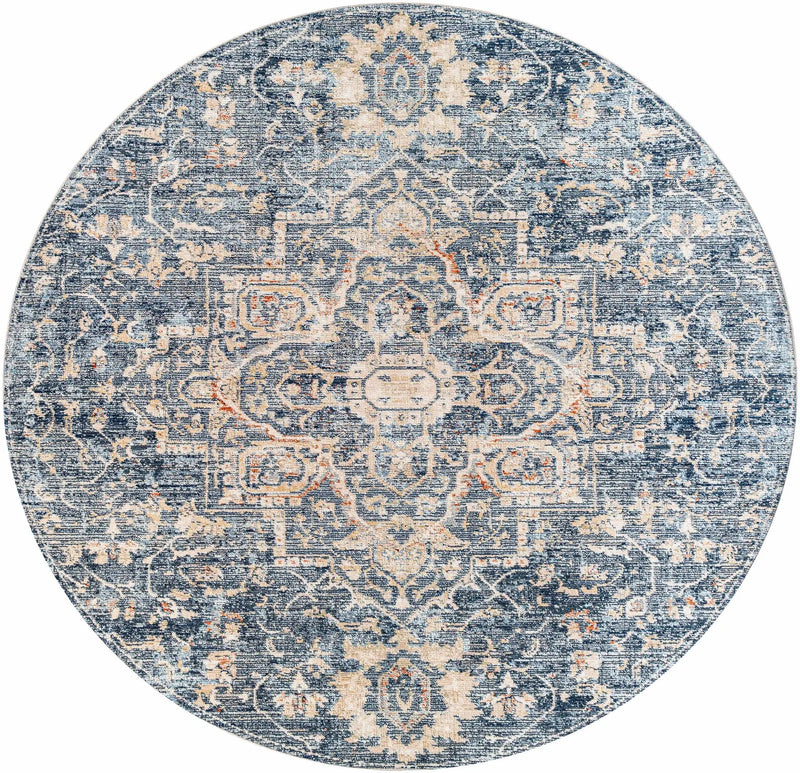 Aramayuan Area Rug - Clearance by Boutique Rugs