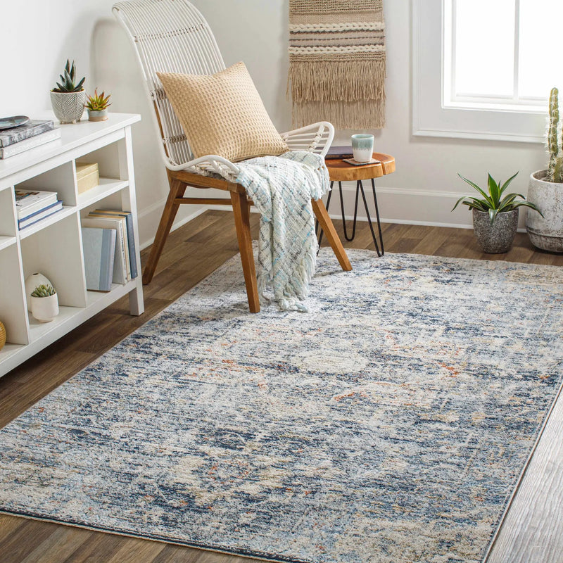 Aramayuan Area Rug - Clearance by Boutique Rugs