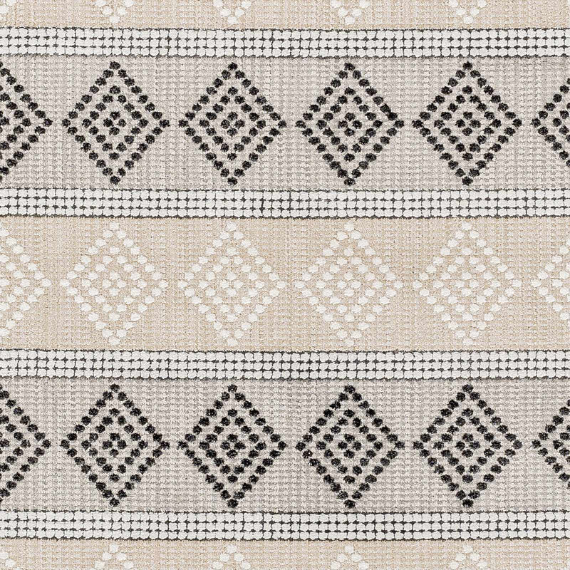 Arij Area Rug - Clearance by Boutique Rugs