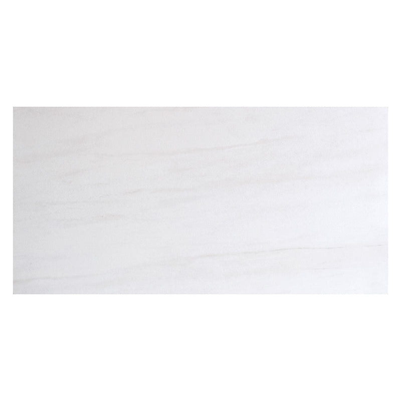 Artica Matte Marble Look Porcelain Tiles 12x24 Porcelain Matte 12x24 Tiles