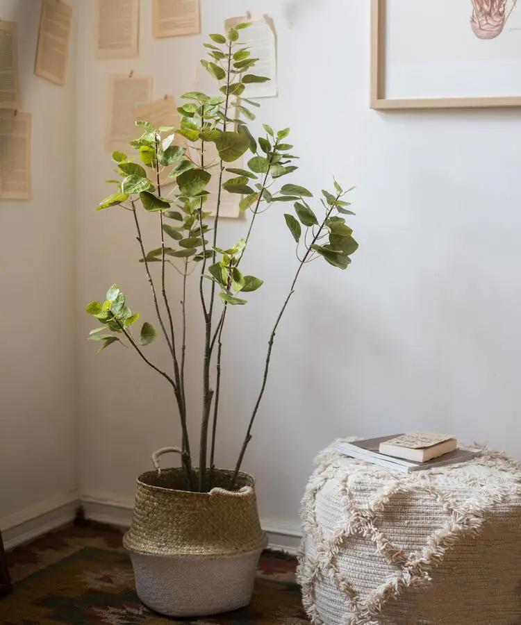 Artificial Silk Bauhinia Tree In Pot by RusticReach