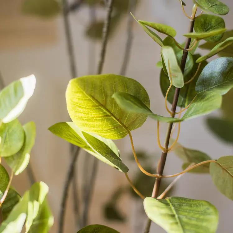 Artificial Silk Bauhinia Tree In Pot by RusticReach