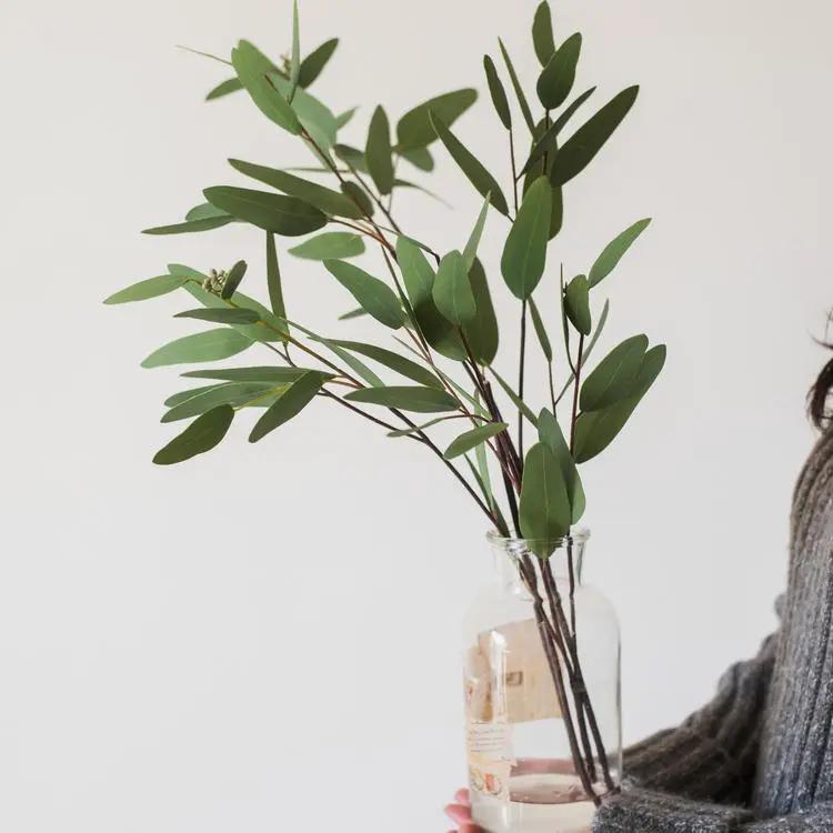 Artificial Faux Eucalyptus Leaf in Various Shapes by RusticReach