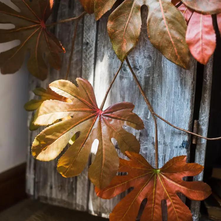 Artificial Fatsia Leaf in Autumn Red 32" Tall Faux by RusticReach