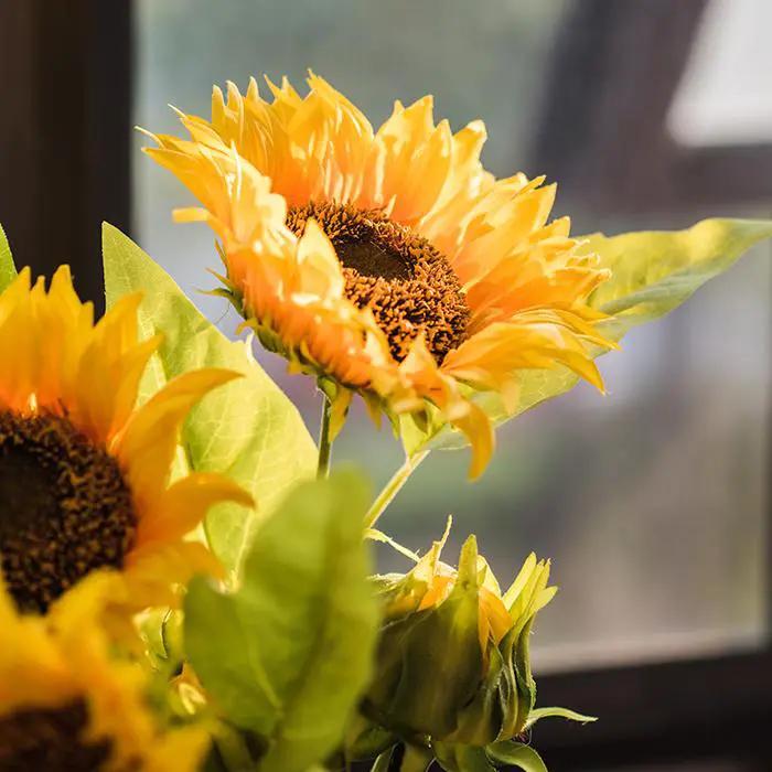 Faux Artificial Flower Silk Sunflower Stem 28" Tall by RusticReach