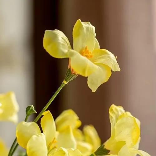 Artificial Flower Silk Tung Flower Stem in Yellow 31" Tall by RusticReach
