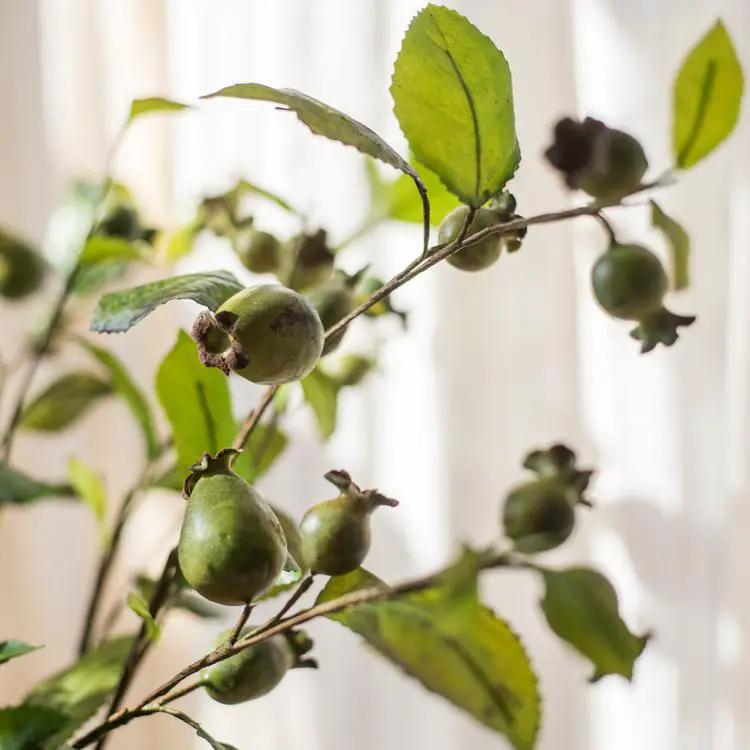 Artificial Fruit Green Papaya Stem 24" Tall Silk Plant by RusticReach