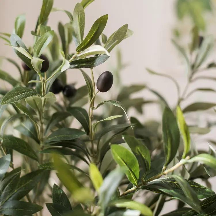 Artificial Fuax Large Olive Stem 41" Tall by RusticReach
