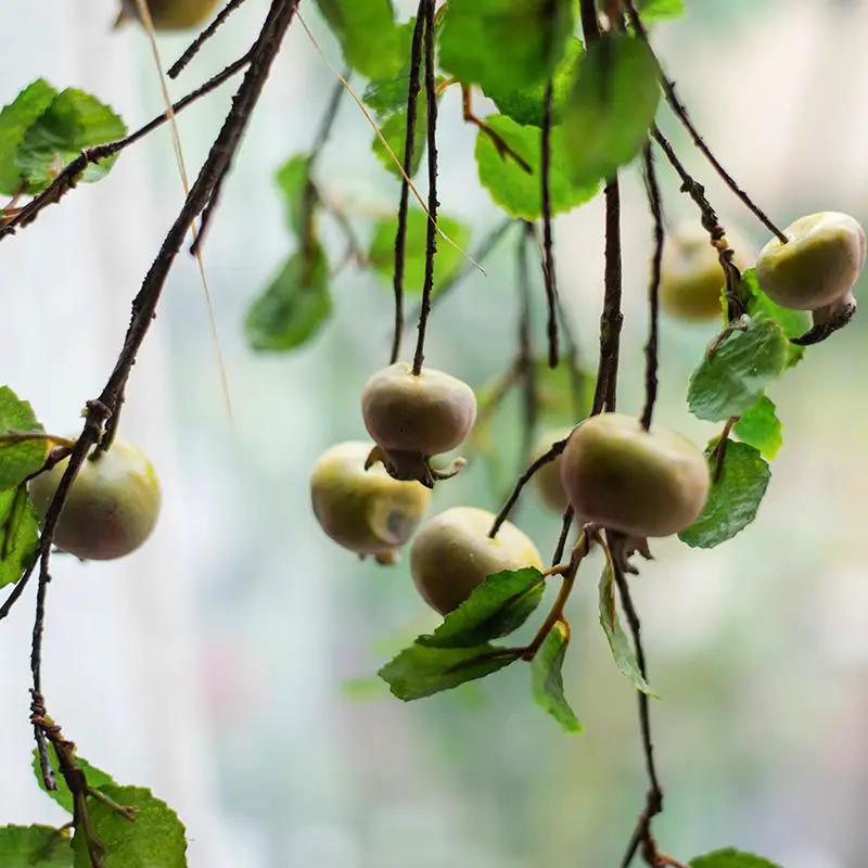 Artificial Fruit Rose Hip Stem in Green 20" Tall Silk Plant by RusticReach