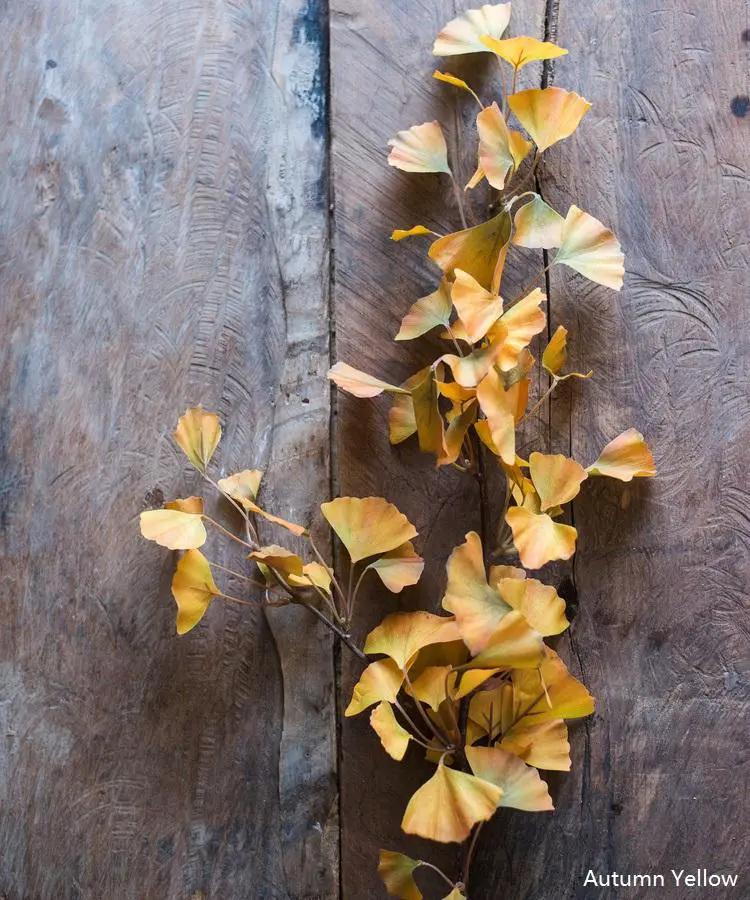 Artificial Ginkgo Stem in Yellow 37" Tall Faux by RusticReach