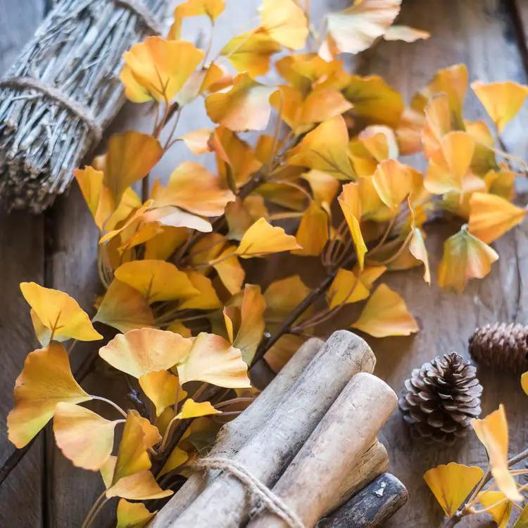 Artificial Ginkgo Stem in Yellow 37" Tall Faux by RusticReach
