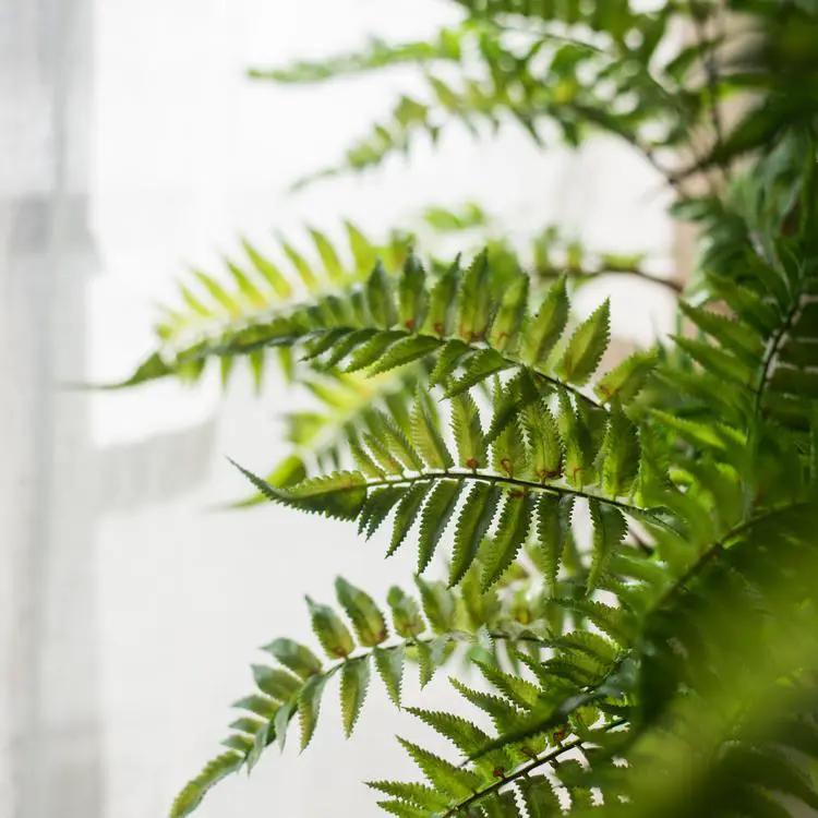 Artificial Green Leaf Fern Tree Faux by RusticReach