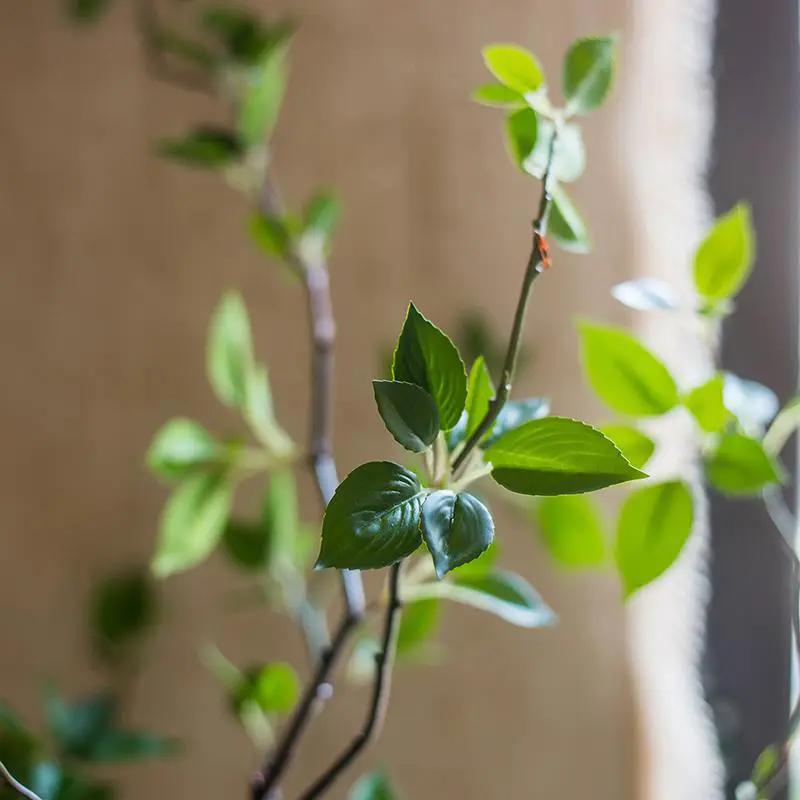 Artificial Green Leaf Faux Tree In Pot by RusticReach