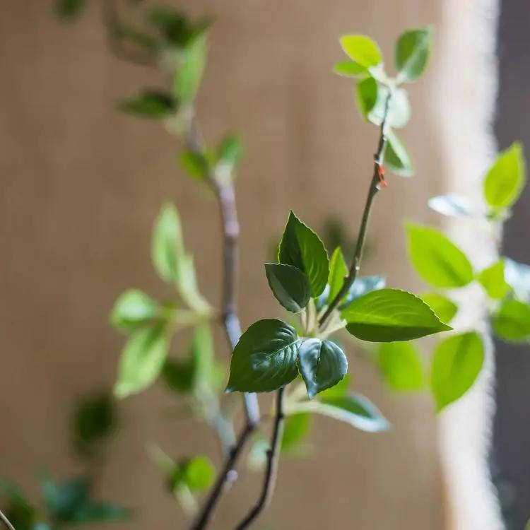 Artificial Green Leaf Faux Tree In Pot by RusticReach