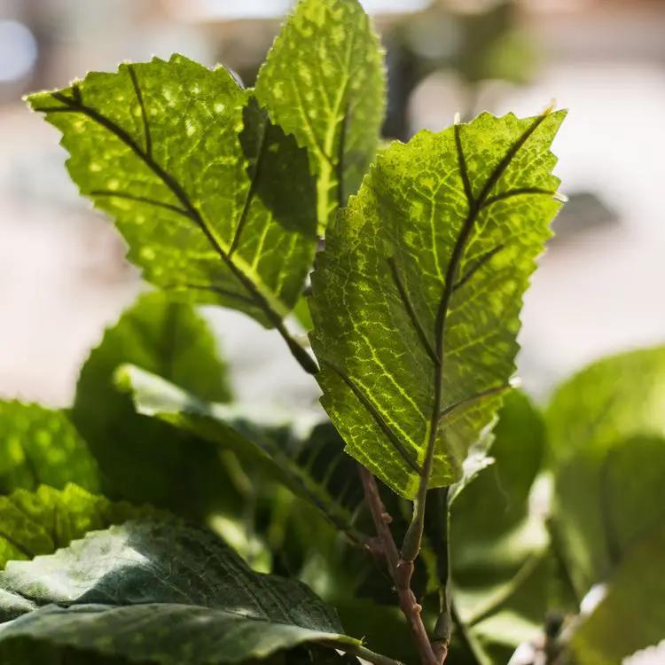 Artificial Hydrangea Leaf Stem 17" Tall by RusticReach