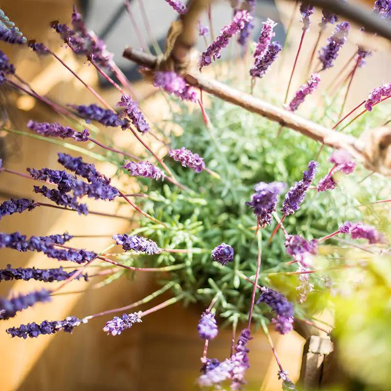 Faux Artificial Lavender Provence Lavender Stem 21" Tall Silk by RusticReach