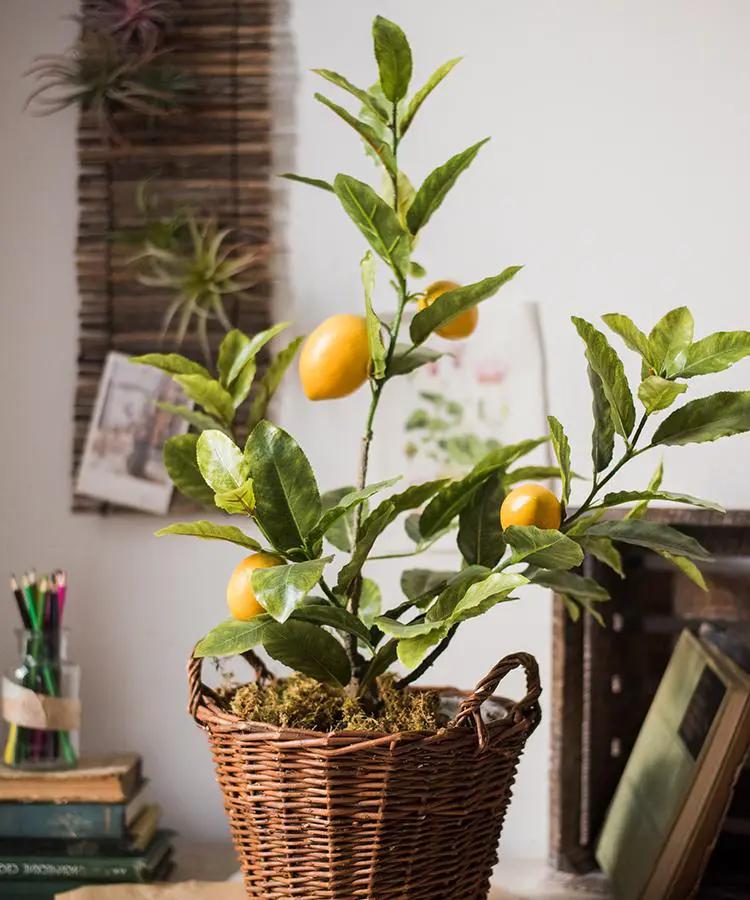 Artificial Lemon Tree In Pot by RusticReach