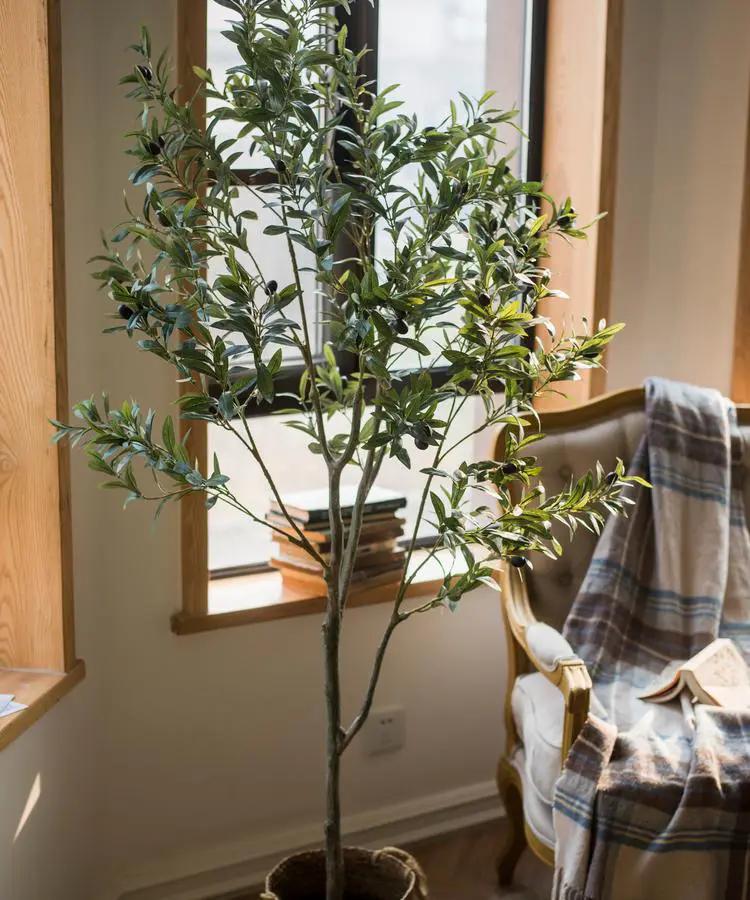 Artificial Silk Faux Olive Tree In Pot by RusticReach