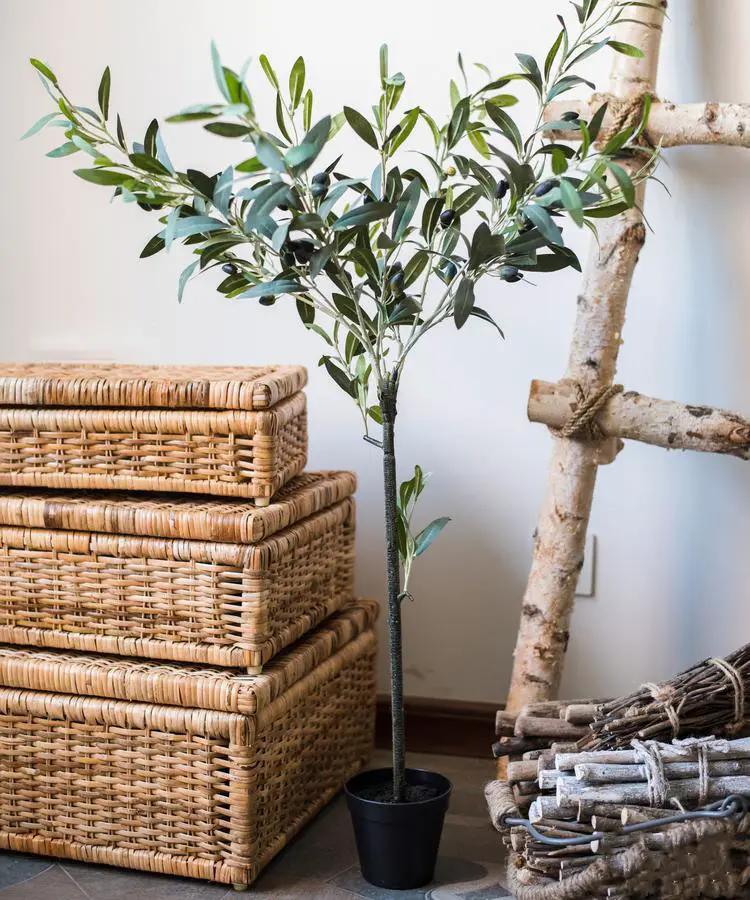Artificial Silk Faux Olive Tree In Pot by RusticReach