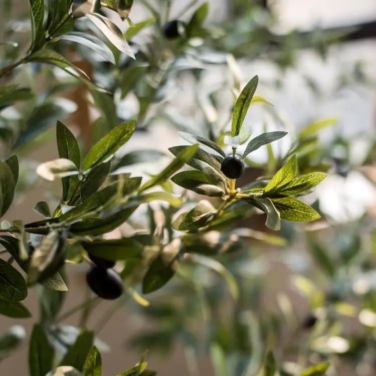 Artificial Silk Faux Olive Tree In Pot by RusticReach