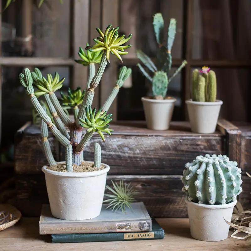 Artificial Faux Cactus Plant Bonsai Potted by RusticReach
