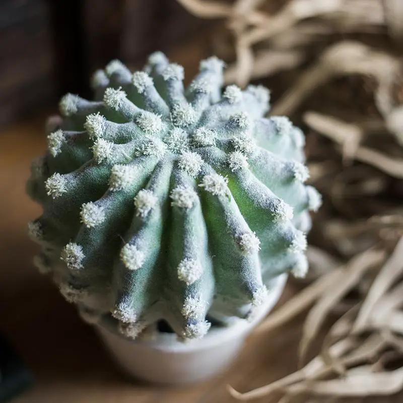 Artificial Faux Cactus Plant Bonsai Potted by RusticReach