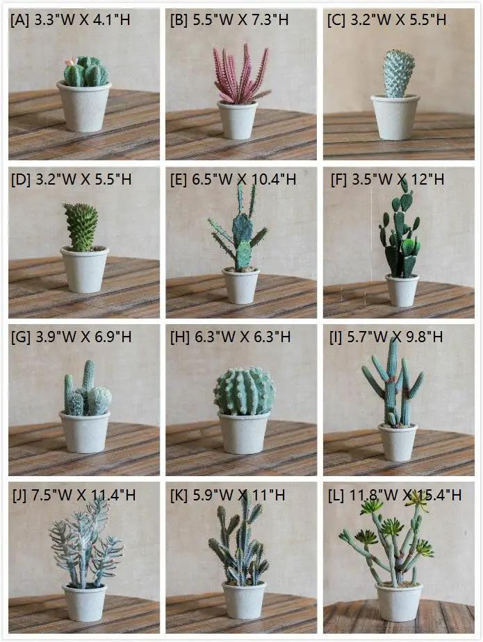 Artificial Faux Cactus Plant Bonsai Potted by RusticReach