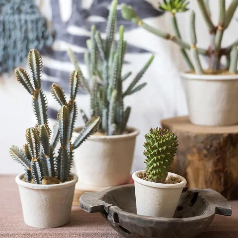 Artificial Faux Cactus Plant Bonsai Potted by RusticReach