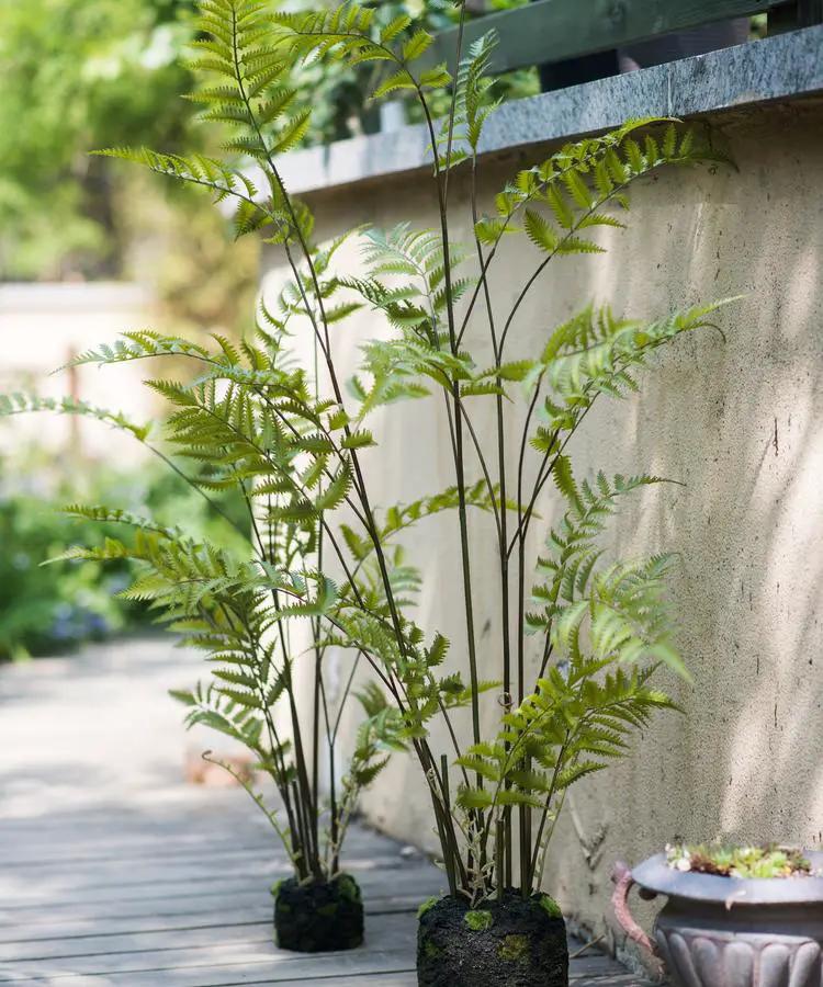 Artificial Faux Eagle Fern Bulk Plant by RusticReach