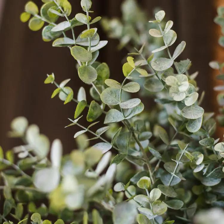 Artificial Faux Plant Eucalyptus Stem Green 26" Tall by RusticReach