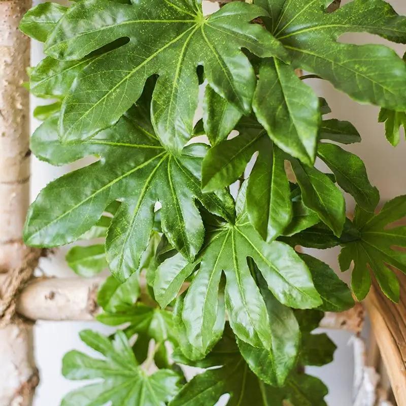 Artificial Plant Fatsia Leaf Vines 32" Long by RusticReach
