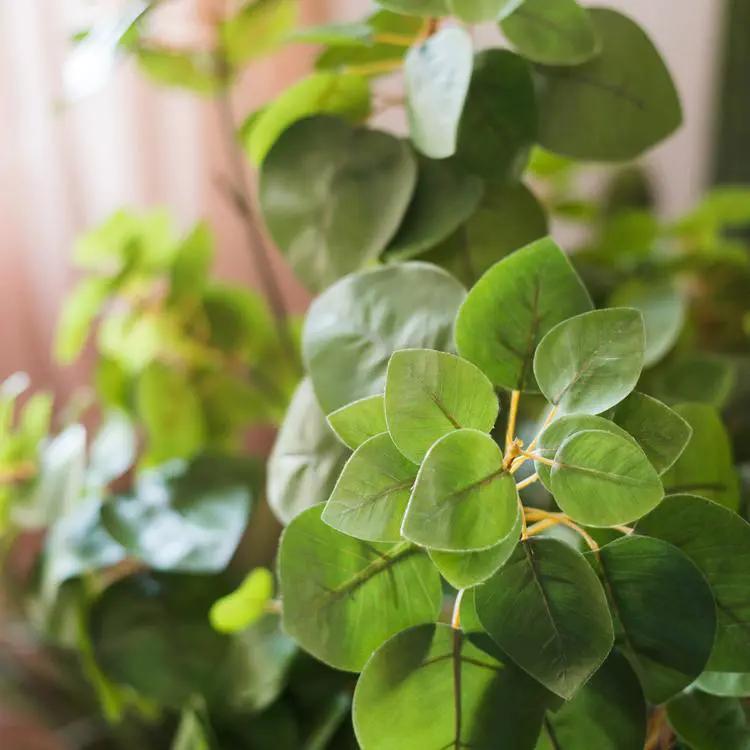 Artificial Plant Faux Bauhinia Leaf 34" Tall by RusticReach