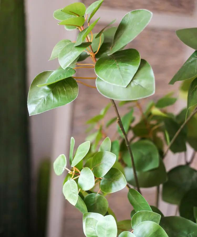 Artificial Plant Faux Bauhinia Leaf 34" Tall by RusticReach